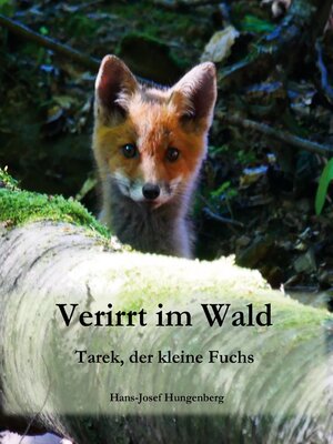 cover image of Verirrt im Wald